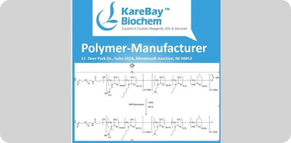 Polymer Chemistry Company